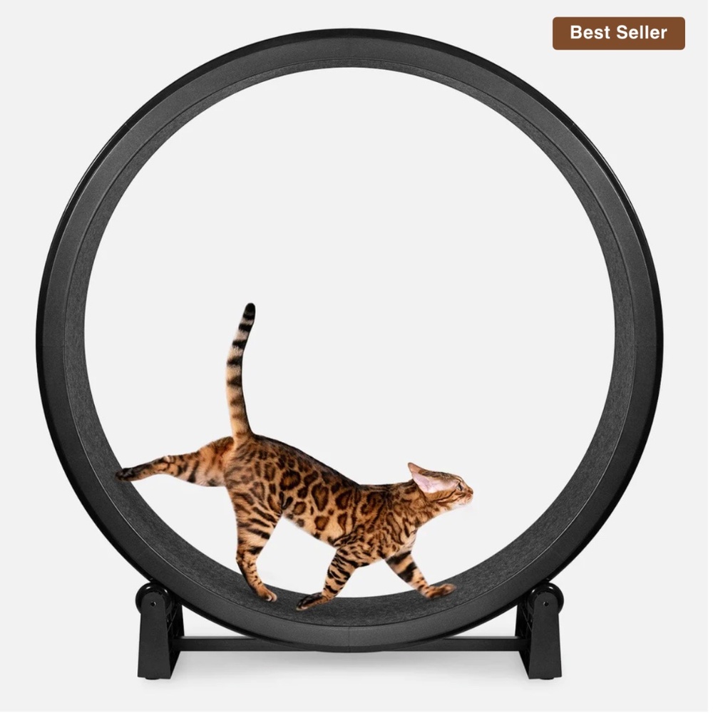Cat Wheel